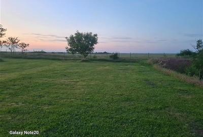 Spațiu industrial, de 440 mp, în Livada - 2