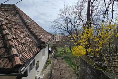 Casă cu 2 camere cu Teren 3080 Mp în Sighișoara - 8