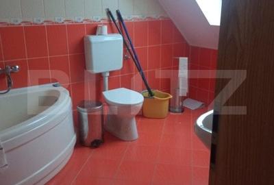 Vila individuala in Dumbravita, zona Lac-padure Vila individuala in Dumbravita, zona Lac-padure - 14