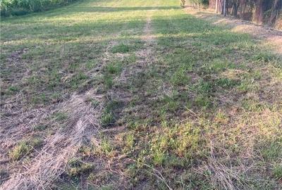 Casă cu 2 camere cu Teren 5800 Mp în Central - 4