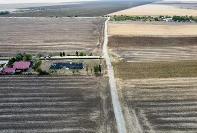 Frumusani - Hobby Arena - teren intravilan cu PUZ aprobat Frumusani - Hobby Arena - teren intravilan cu PUZ aprobat - 4