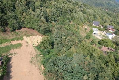 Teren Viilor , view superb ,ideal pentru casă! , 647 MP! - 6