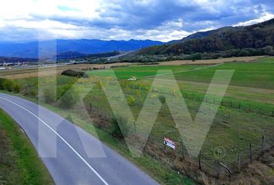 Teren extravilan  3.942 mp de vanzare - Talmaciu, jud. Sibiu - 2