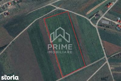 Teren de 6450 mp, în Central