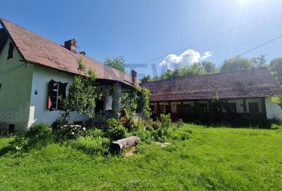 CONACUL GEORGE STEPHANESCU - 1