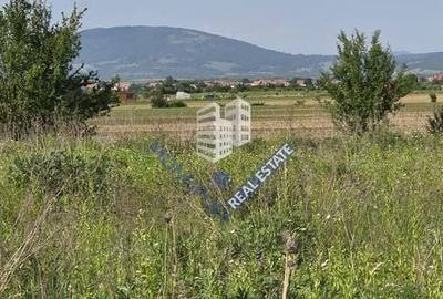 Teren de 896 mp, în Șercaia - 3