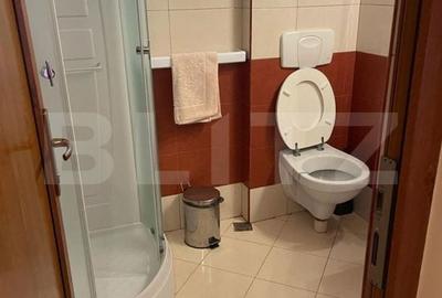 Spațiu comercial, de 450 mp, în Costești - 2