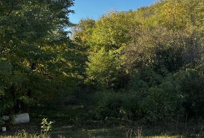 Spațiu comercial, în Doicești - 4