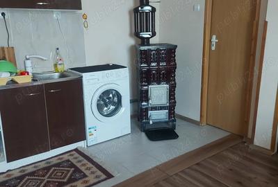 Casa tip cabana cu livada jud Alba - 8