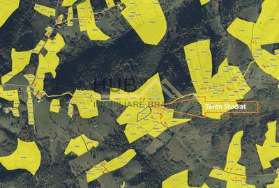 Teren Construcții intravilan de 4649 mp, în Moieciu - 6