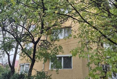 Teren Construcții intravilan de 481 mp, în Giurgiului - 3