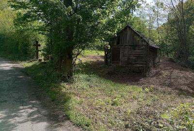 Teren de 10691 mp, în Hărțăgani