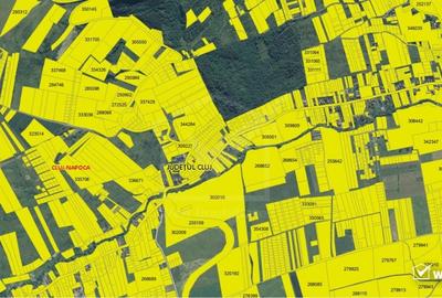 Investitie! Teren de vanzare, 1.5 ha, zona strada Oasului, - 2
