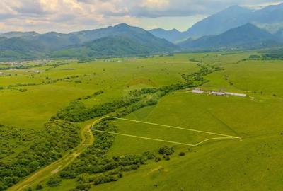 Teren de 10800 mp, în Râșnov - 11