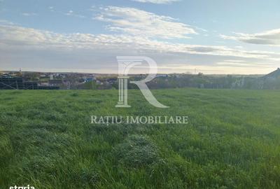 Casă cu 3 camere în Rontău - 3