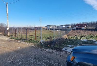 Teren de 937 mp, în Găvana - 13