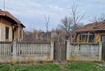 Spațiu comercial, în Goicea - 8