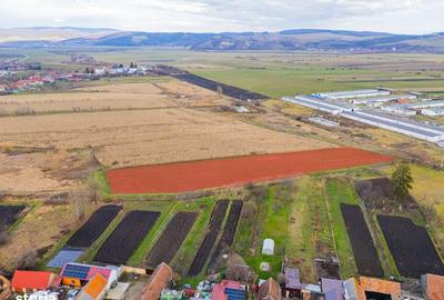 Spațiu comercial, în Bod - 12