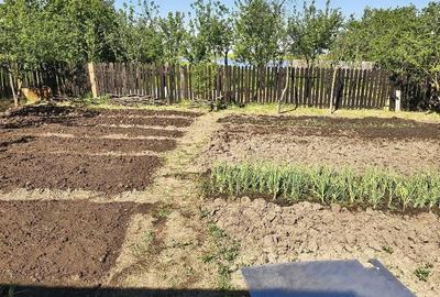 Casă cu 2 camere cu Teren 2700 Mp în Săceni - 4
