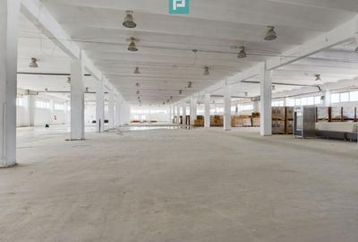 Spatii depozitare clasa A, zona Bucuresti sud - Jilava - 2