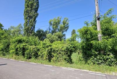 Spațiu comercial, în Ghirdoveni - 7