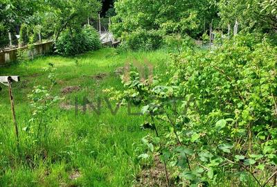 Teren la liziera padurii! - 3