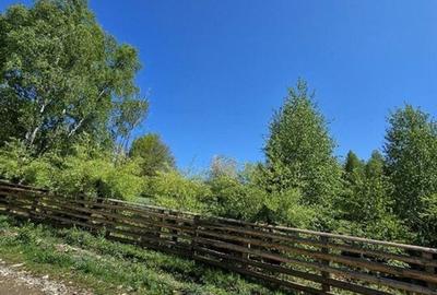 Pensiune in jud. Buzau, loc Ivanetu| Constructie lemn|Pozitionare impresionanta - 56