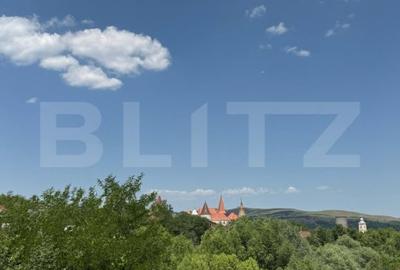 Casa cu 2 camere si cu o superba priveliste spre Castelul Corvinilor Hunedoara - 10