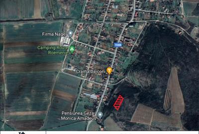 Teren de 4300 mp, în Miniș - 1