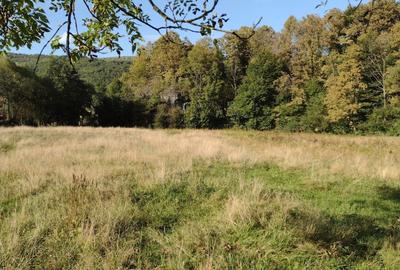 Spațiu comercial, în Poieni - 3