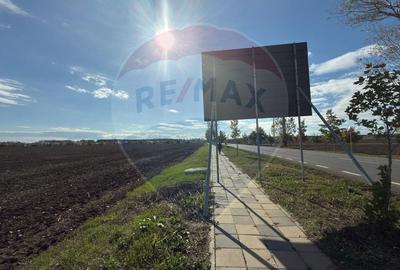 Teren Construcții intravilan de 26243 mp, în Periferie - 4