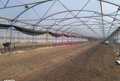 Spațiu comercial, în Roșiori - 2