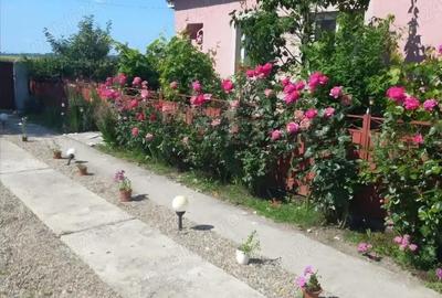 Casă în Osica de Sus - 1