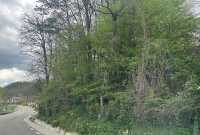 Casă cu 4 camere în Muereasca - 4