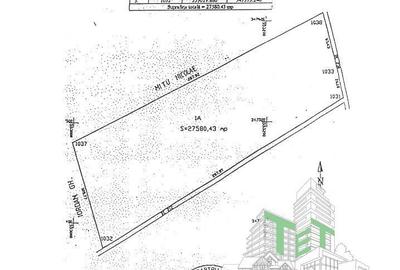 Teren 27000mp |Deschidere dubla| Drumul Piscul Nou (FeliCity) - 6