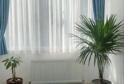 Apartament cu 2 camere nedecomandat în Nord - 10