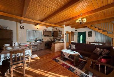 Cabana - Casa de vacanta situata in Muntele Rece! - 21