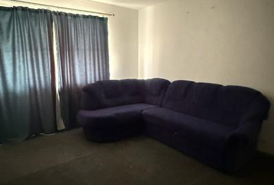 Apartament cu 2 camere semidecomandat în Cetate - 10