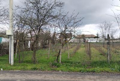 Teren Construcții intravilan de 1000 mp, în Băleni - 2