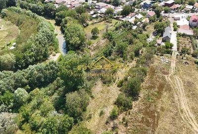 Teren Construcții intravilan de 12184 mp, în Domnești - 2