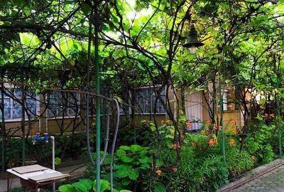 Casă cu 6 camere în Sintea Mare - 3