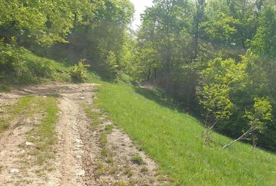 Teren de 1000 mp, în Dâmbovicioara - 9