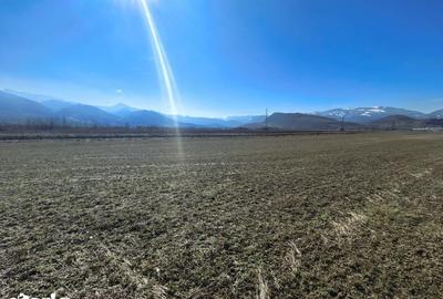 Teren de 2800 mp, în Turnu Roșu - 16