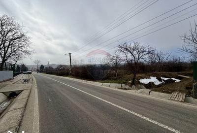 Casă cu 4 camere cu Teren 7727 Mp în Cârligele - 4