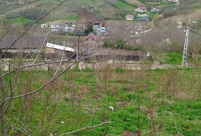 Teren de 2500 mp, în Central - 1