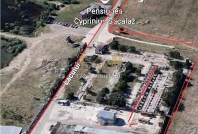 Spațiu comercial, de 17,770 mp, în Săcălaz - 5