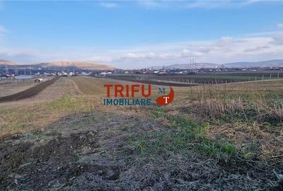Teren de 2125 mp, în Bărăbanț - 4