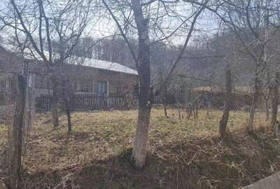 Casă individuală cu 4 camere cu Teren 1991 Mp în Valea Bradului - 2