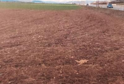 Teren de 59900 mp, în Florești - 2