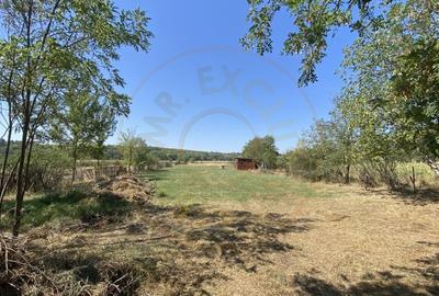 Teren 10414 mp in loc. Albota-Mares. COMISION 0% - 5